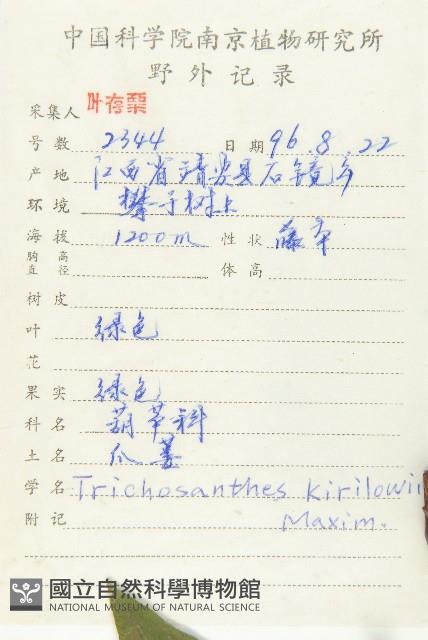 括樓藏品圖，第2張