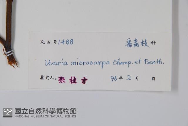 Accession Number:S042224 Collection Image, Figure 2, Total 2 Figures