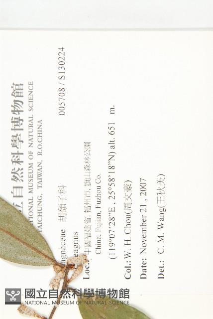 登錄號:S130224藏品圖，第2張