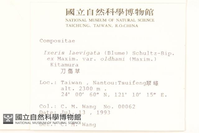 刀傷草藏品圖，第2張