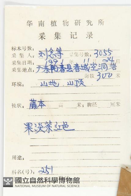 白鶴藤藏品圖，第2張