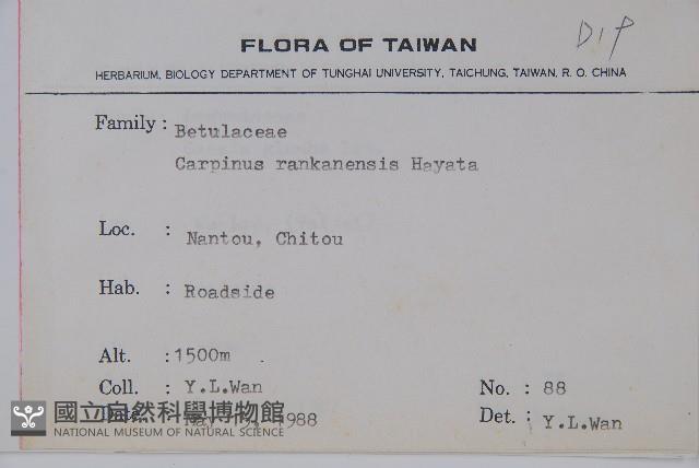 蘭邯千金榆藏品圖，第2張