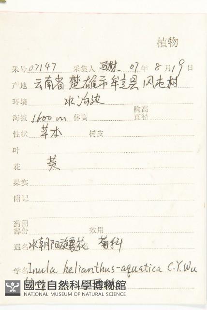 水朝陽花藏品圖，第2張