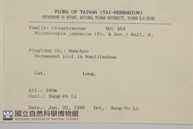 日本賽衛矛、日本假衛矛藏品圖，第2張