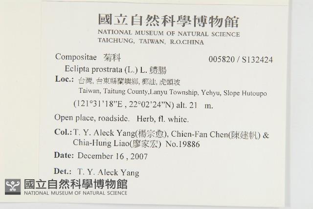 鱧腸藏品圖，第2張