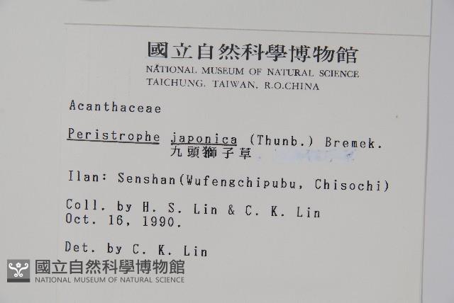 九頭獅子草藏品圖，第2張