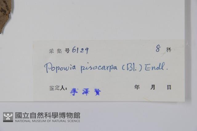 嘉陵花藏品圖，第2張