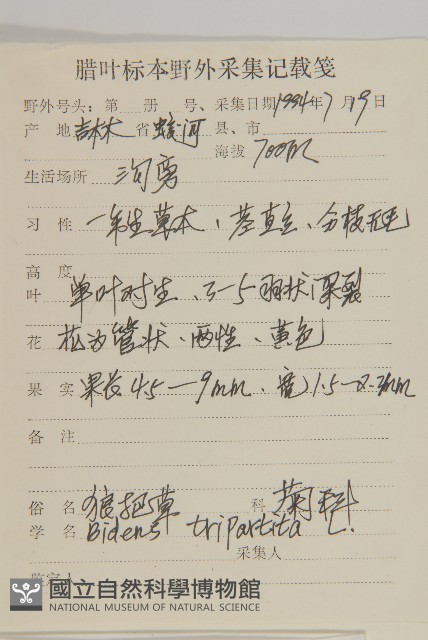 狼把草藏品圖，第2張