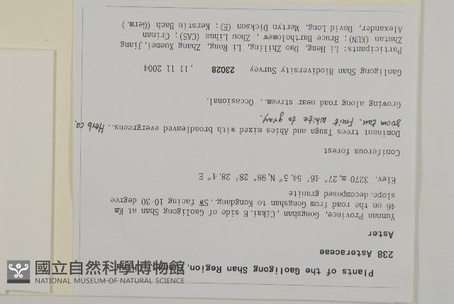 登錄號:S106124藏品圖，第2張