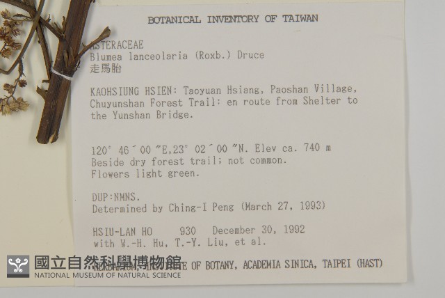 走馬胎藏品圖，第2張