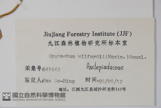隔山消藏品圖，第2張