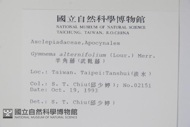 羊角藤、武靴藤藏品圖，第2張