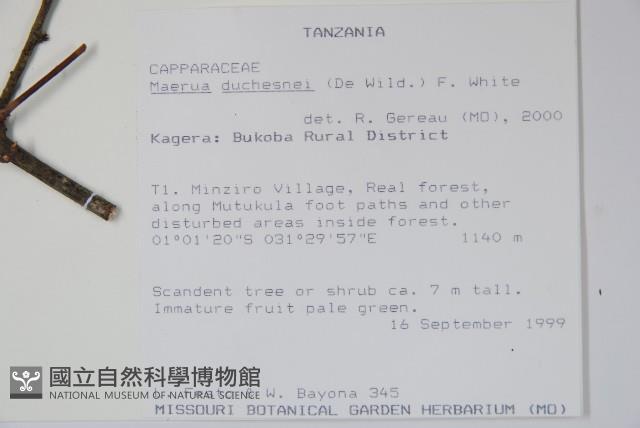 登錄號:S097124藏品圖，第2張