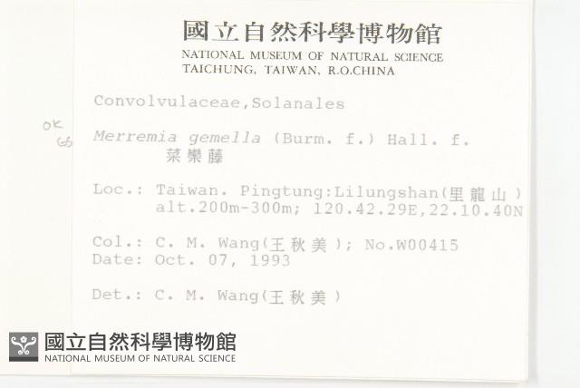 菜欒藤藏品圖，第2張