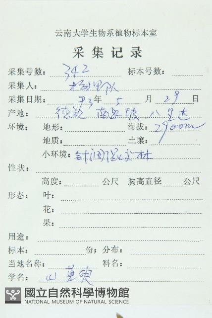 毛棶藏品圖，第2張