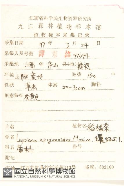 稻槎菜藏品圖，第2張