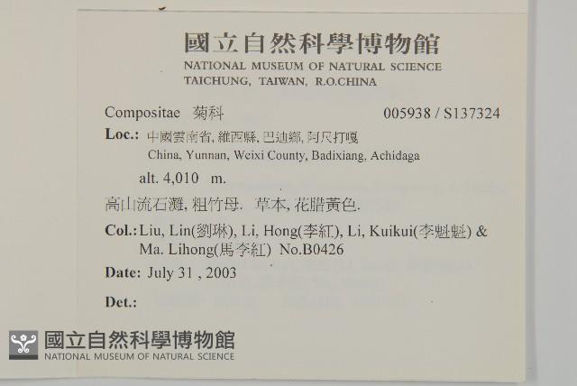 登錄號:S137324藏品圖，第2張