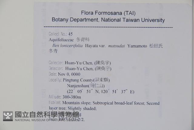 松田氏冬青藏品圖，第2張