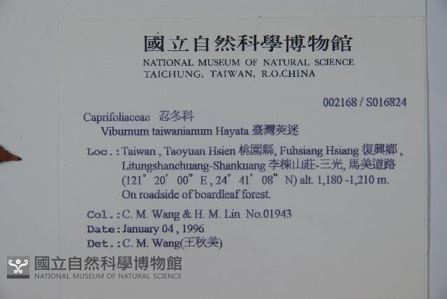 臺灣莢迷藏品圖，第2張