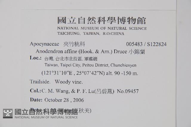 小錦蘭藏品圖，第2張