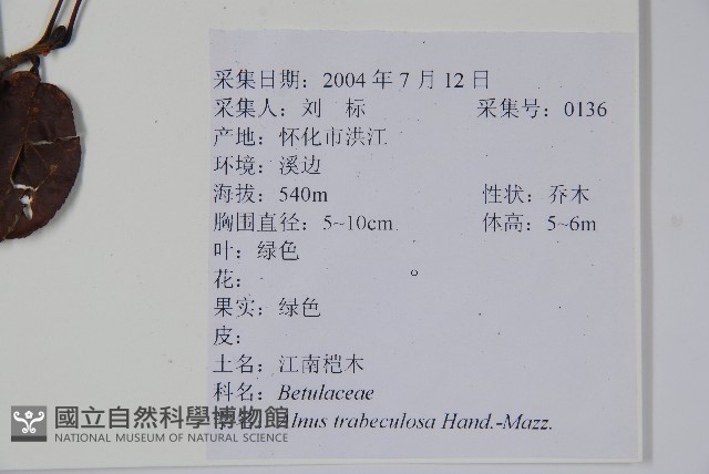 江南榿木藏品圖，第2張