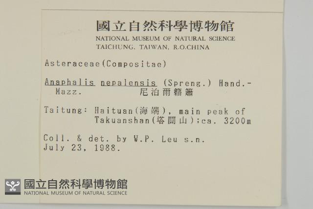 尼泊爾籟簫藏品圖，第2張