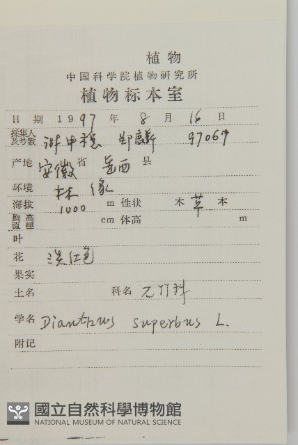 瞿麥藏品圖，第2張