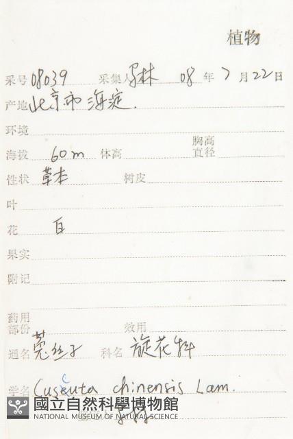 中國菟絲子藏品圖，第2張