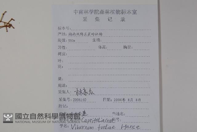 南方莢迷藏品圖，第2張