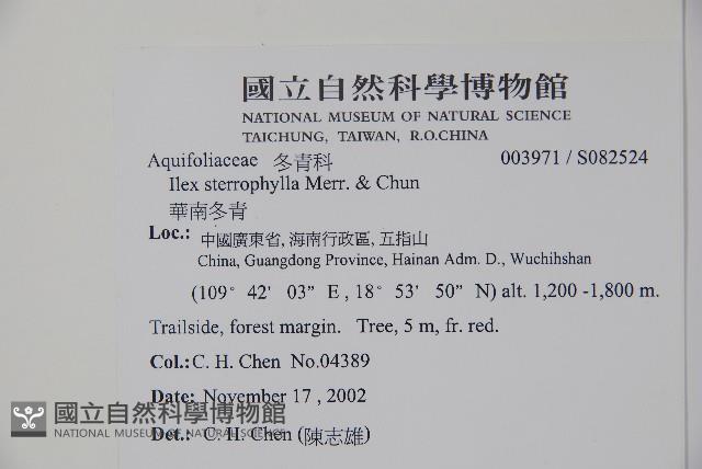 華南冬青藏品圖，第2張