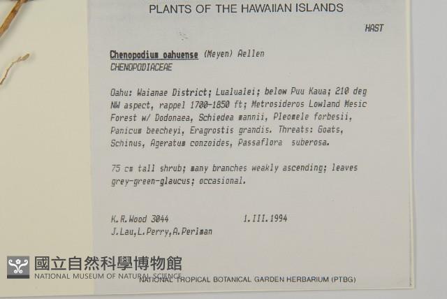 登錄號:S050524藏品圖，第2張