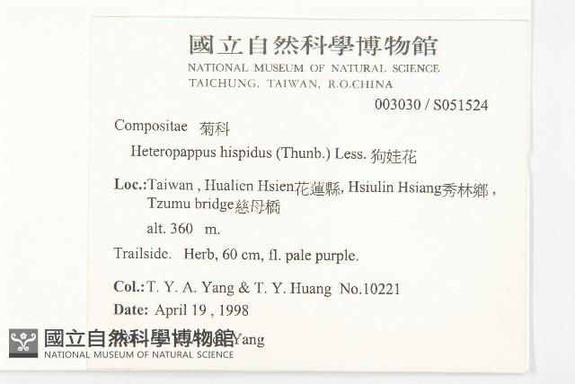 狗娃花藏品圖，第2張