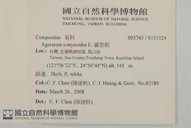 霍香薊藏品圖，第2張