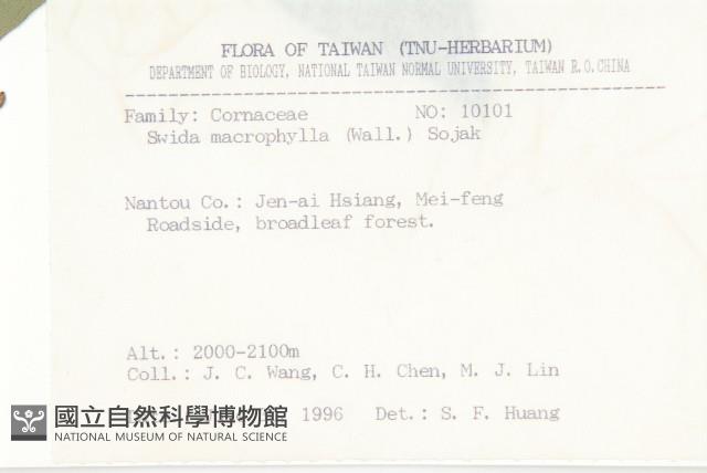 梜木藏品圖，第2張