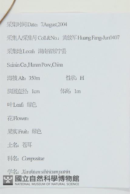 蒼耳藏品圖，第2張