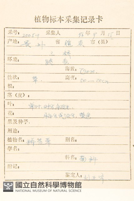 腺梗豨薟藏品圖，第2張