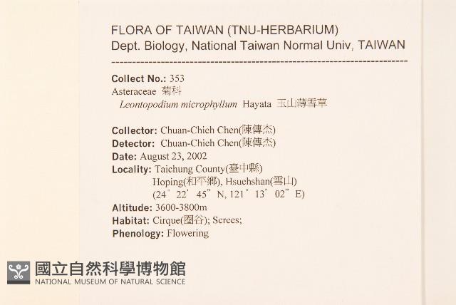 玉山薄雪草藏品圖，第2張