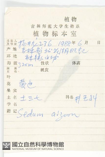 費菜藏品圖，第2張