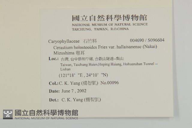 卷耳藏品圖，第2張