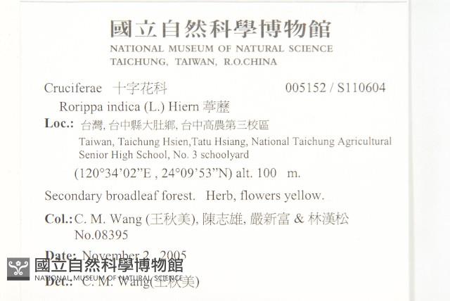 葶藶藏品圖，第2張