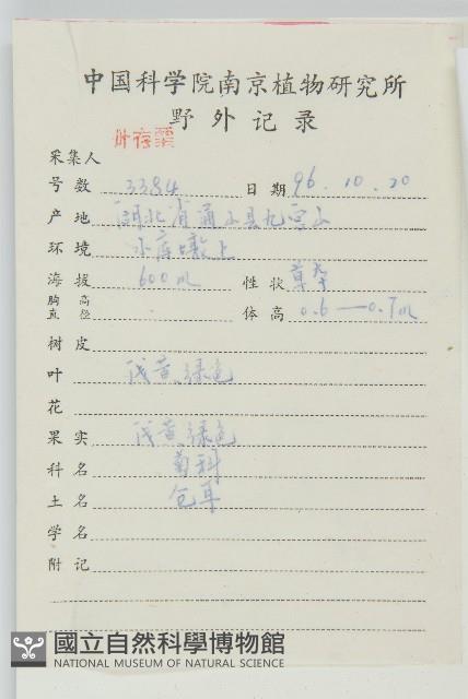 蒼耳藏品圖，第2張