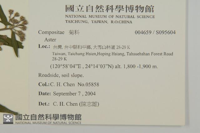 登錄號:S095604藏品圖，第2張