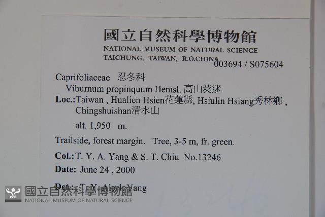 高山莢迷藏品圖，第2張