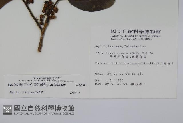 臺灣糊樗藏品圖，第2張