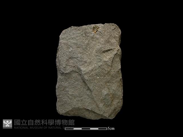 斧鋤形器藏品圖，第2張