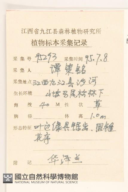 華澤蘭藏品圖，第2張