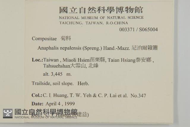 尼泊爾籟簫藏品圖，第2張