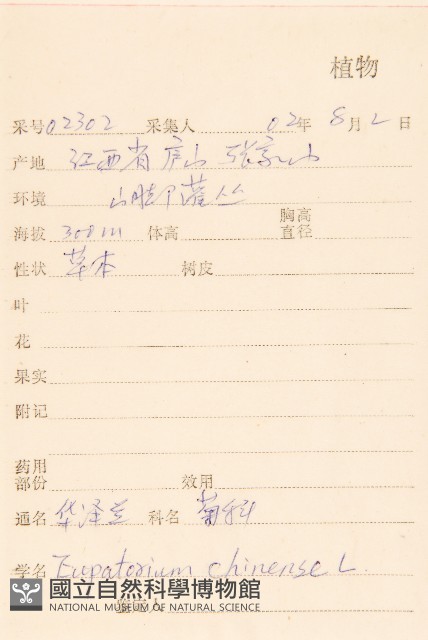 華澤蘭藏品圖，第2張
