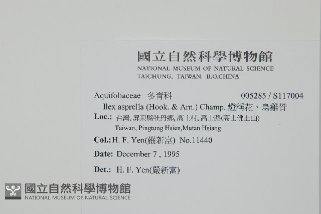 燈稱花、烏雞骨藏品圖，第2張