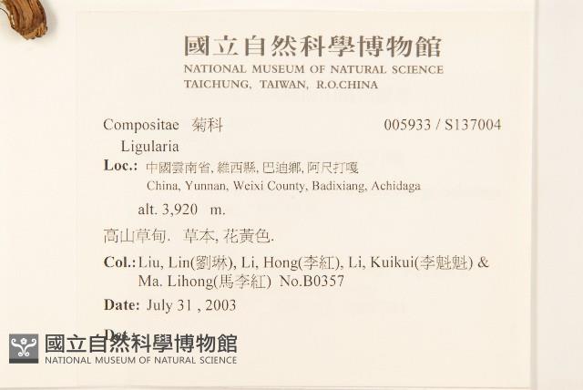 登錄號:S137004藏品圖，第2張